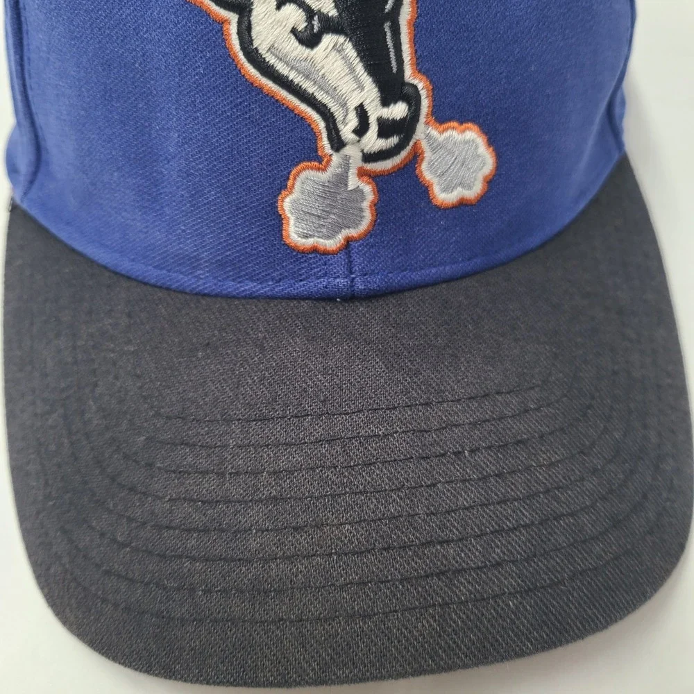 Vintage Durham Bulls Hat Fitted (Seems M-L) Twins Enterprise Blue Black MiLB Men